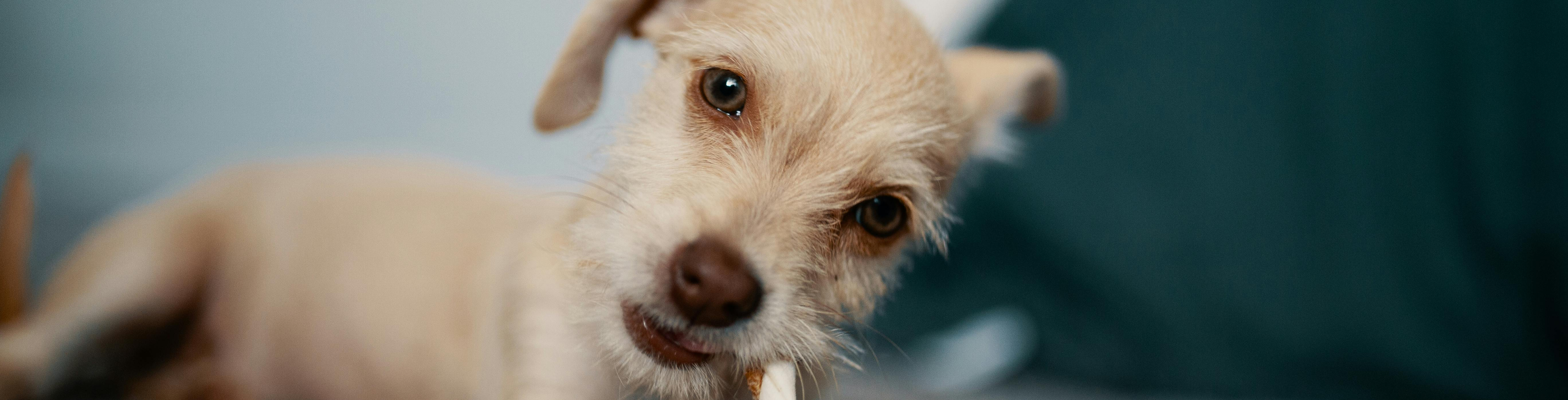 Hogyan válasszon menüink közül