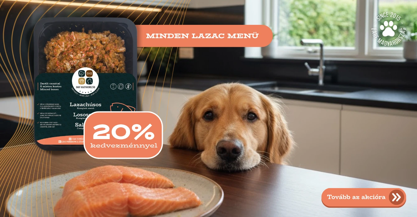 2511 – Lazac 20% promo